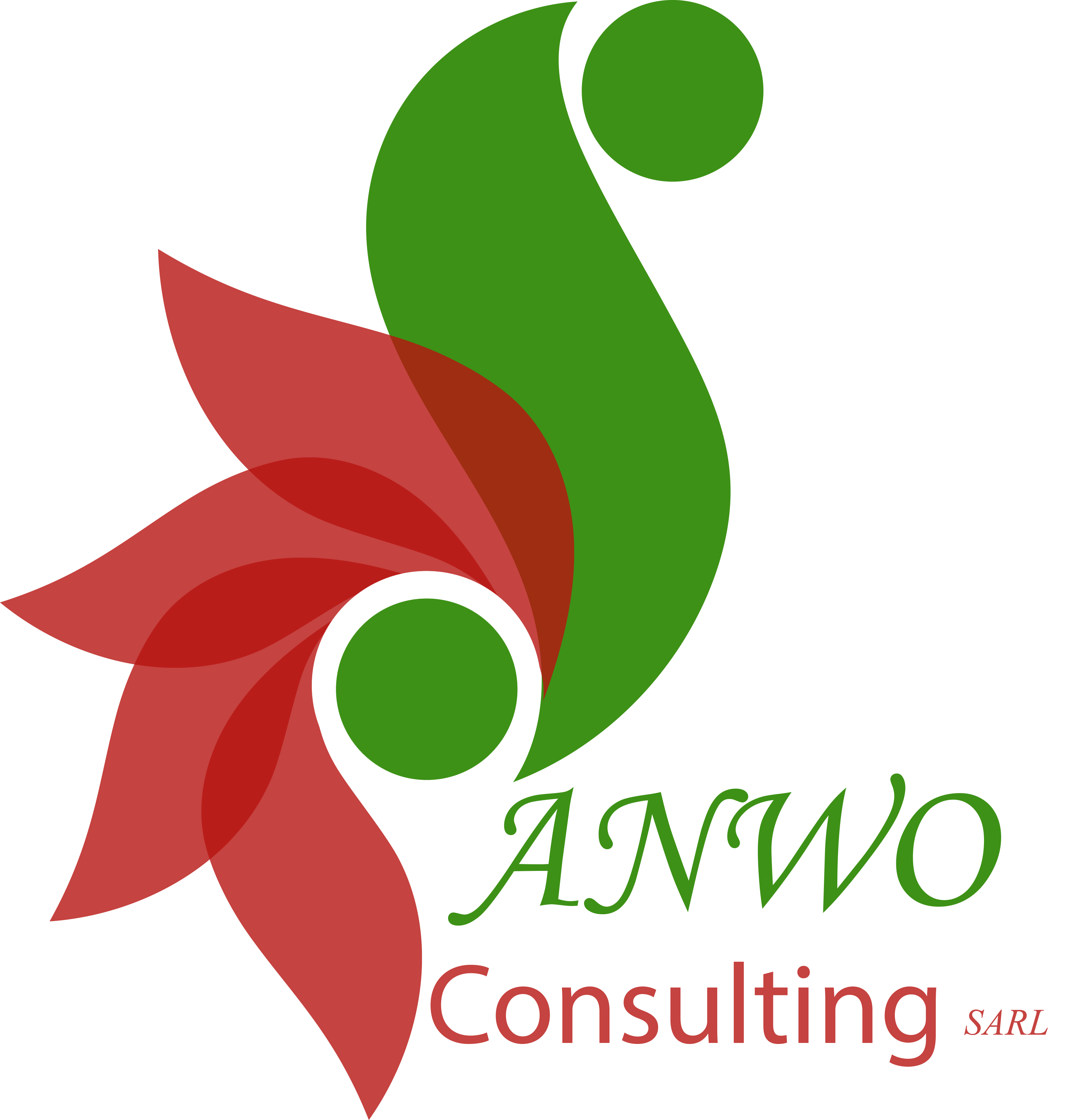 Anwo Consulting